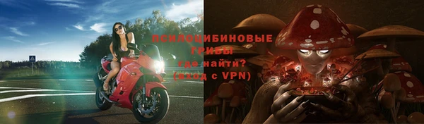 apvp Бронницы