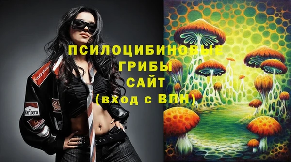 apvp Бронницы