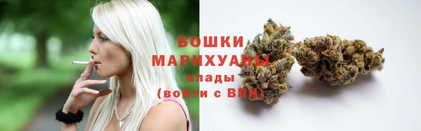 гидра Саяногорск