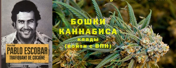 apvp Бронницы