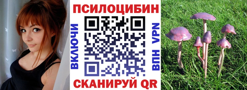 купить наркотики сайты Юхнов Галлюциногенные грибы MAGIC MUSHROOMS